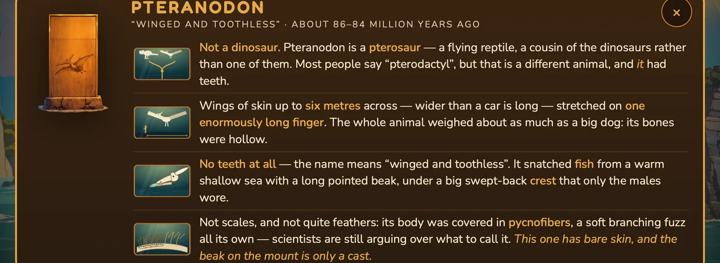 The Pteranodon museum placard in the game, explaining it is a pterosaur, not a dinosaur.